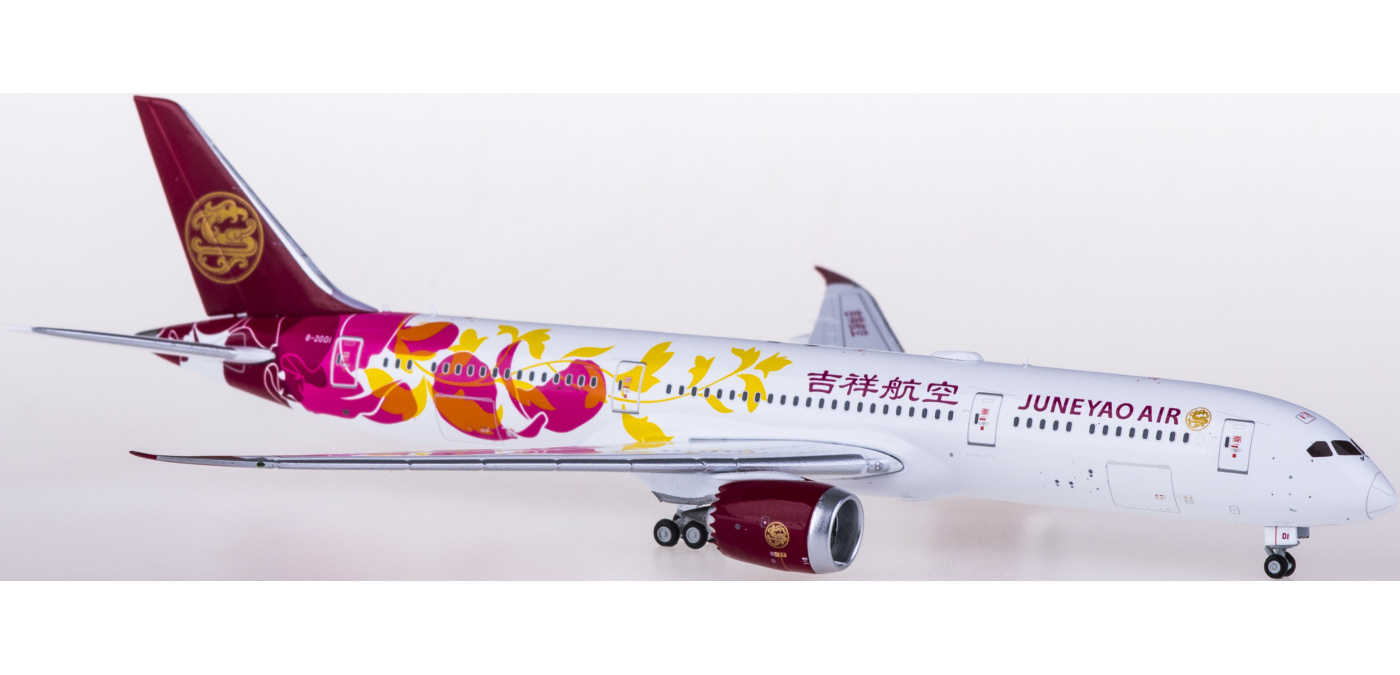 XX4283A Hainan Airlines 海南航空Boeing 787-9 B-1540 襟翼放下