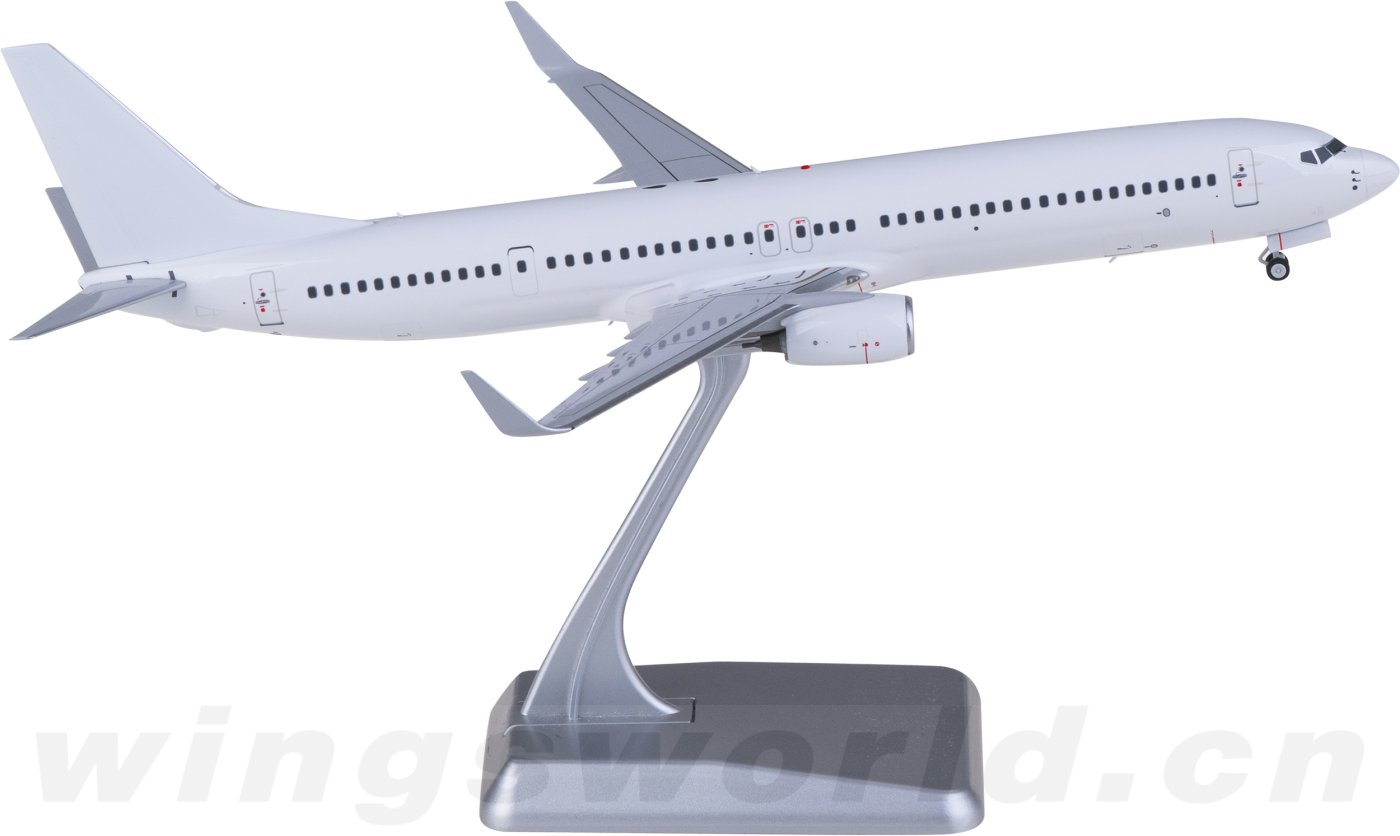 NG09000 Boeing 737-900 Blank NGmodels 1:200 -飞机模型世界