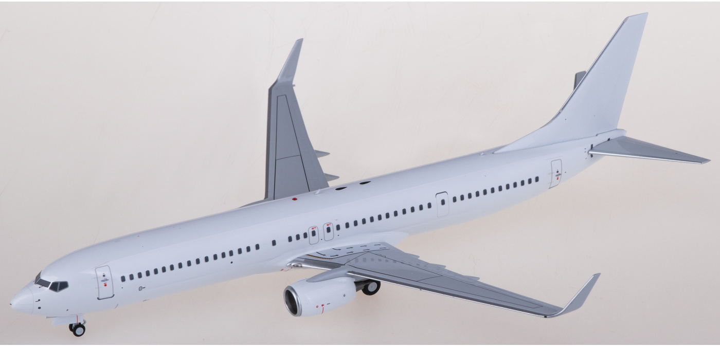NG09000 Boeing 737-900 Blank NGmodels 1:200 -飞机模型世界