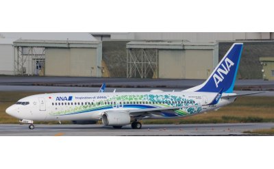 ANA 全日空 Boeing 737-800 JA58AN