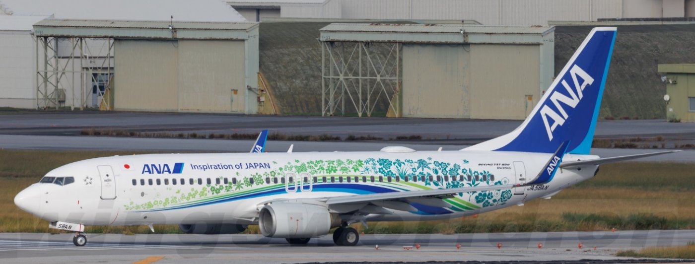 SA4112 ANA Boeing 737-800 JA58AN JC Wings 1:400 -飞机模型世界