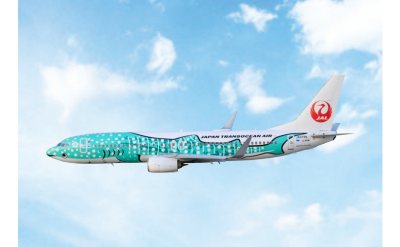 Japan Airlines 日本航空 Boeing 737-800 JA07RK