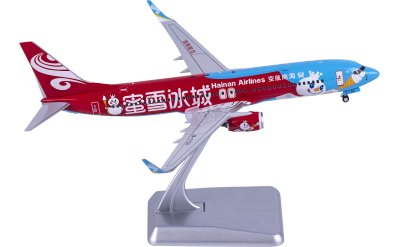 Hainan Airlines 海南航空 Boeing 737-800 B-1131