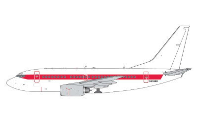 Janet Airlines Boeing 737-600 N319BD