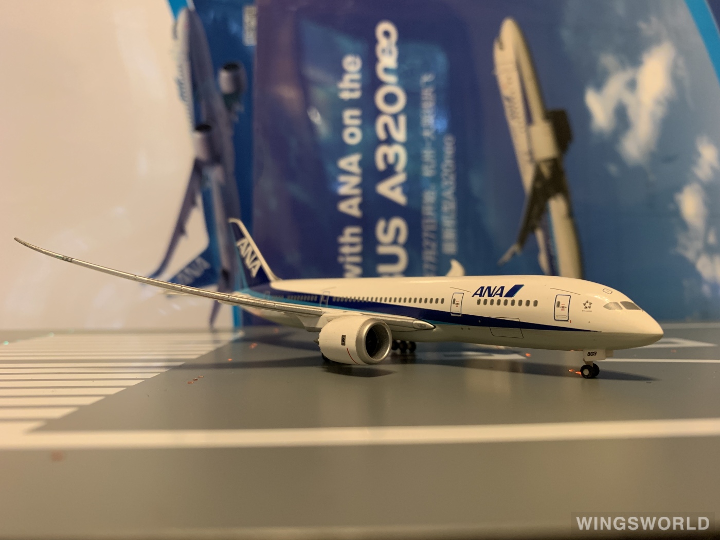 Hogan 1:400 Boeing 787-8 ANA 全日空NH40048 JA803A 的照片作者
