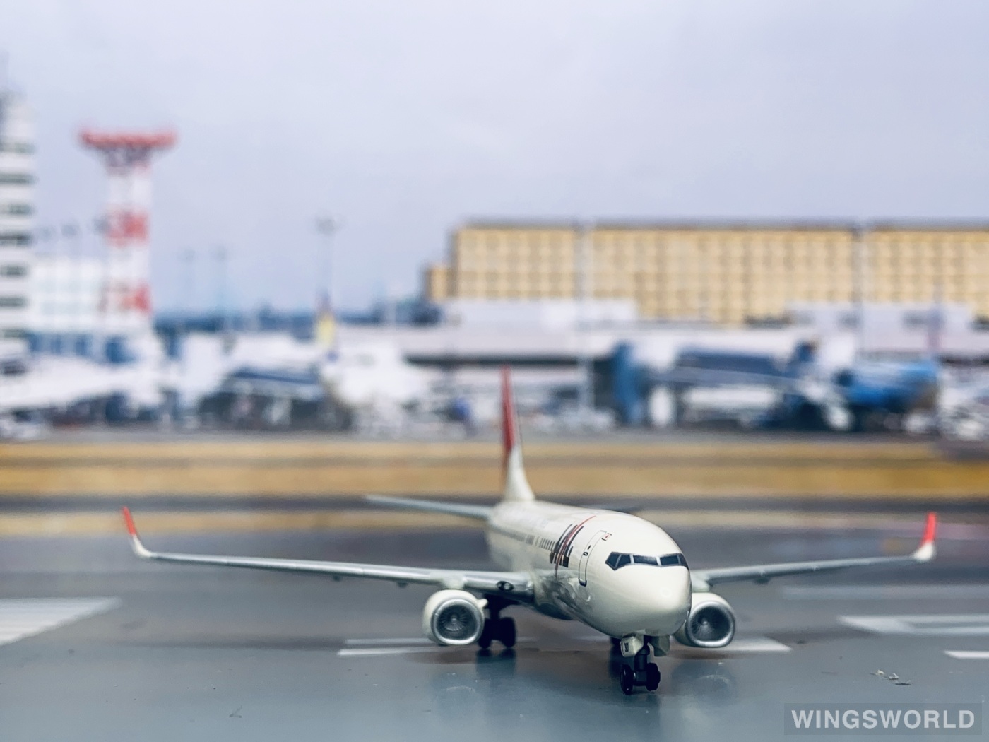 Dragon Models 1:400 56016 Japan Airlines 日本航空 Boeing 737-800 JA301J