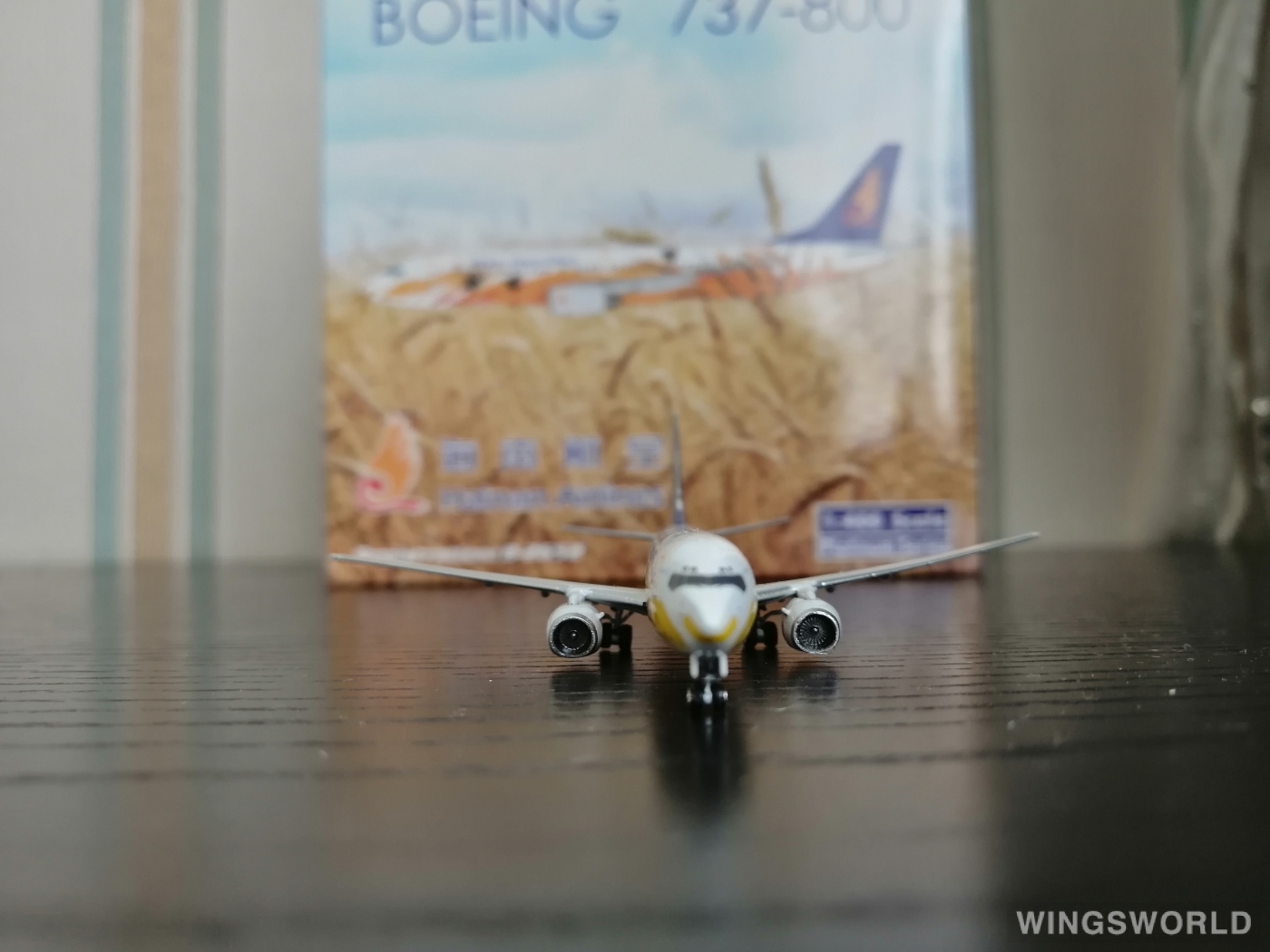 Phoenix 1:400 PH10642 Hainan Airlines 海南航空 Boeing 737-800 B-2652