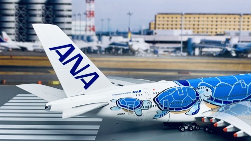 Phoenix 1:400 Airbus A380-800 ANA 全日空PH04386 JA381A 蓝海龟图片