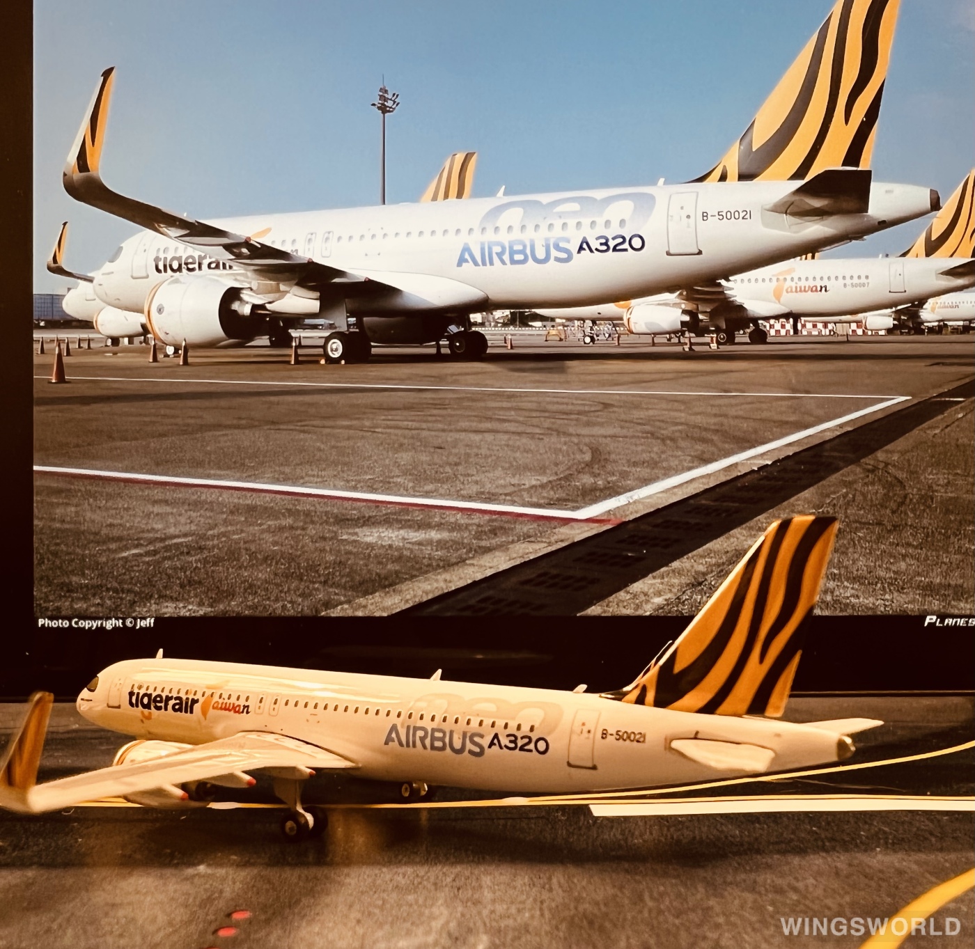 Phoenix 1:400 PH11718 Tigerair 欣丰虎航 Airbus A320neo B-50021