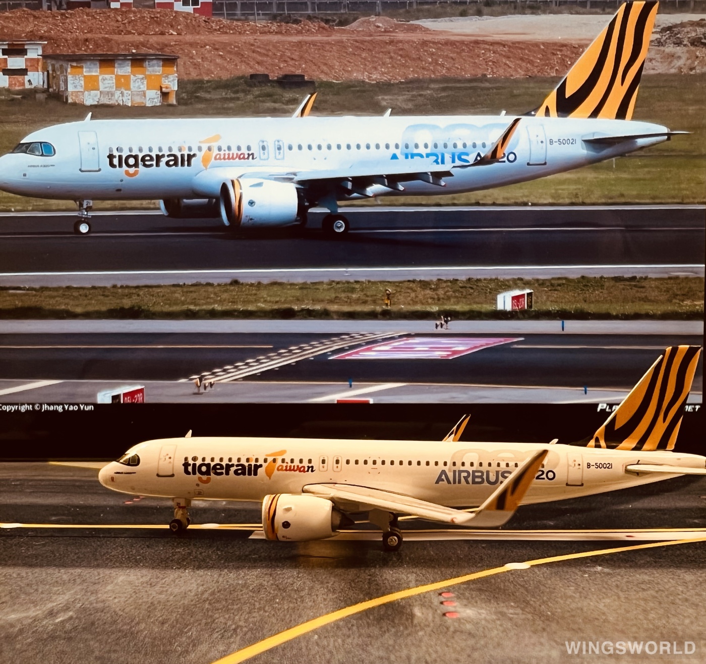 Phoenix 1:400 PH11718 Tigerair 欣丰虎航 Airbus A320neo B-50021