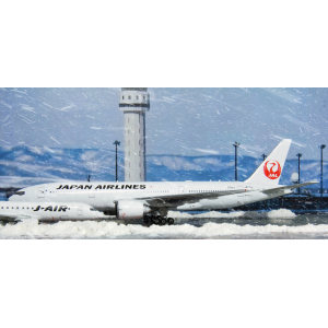 Japan Airlines 日本航空 Boeing 777-200 JA711J  PH11075 Phoenix 1:400
