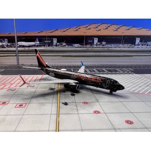 United Airlines 美国联合航空 Boeing 737-800 N36272  NG58133 NGmodels 1:400
