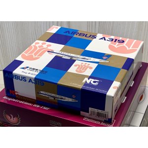 China Southern 中国南方航空 Airbus A319 B-6205  NG49005 NGmodels 1:400