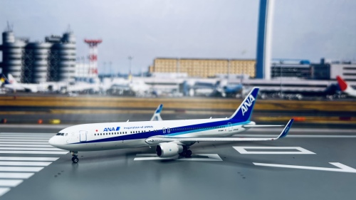 Phoenix JAL 日本航空 B737-800 JA317J 1/400 Phoenix JAL 日本航空 B737-800 JA317J 1/400 - メルカリ