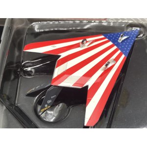 USAF 美国空军 Lockheed F-117 88-0843  HG6498 Hogan 1:200