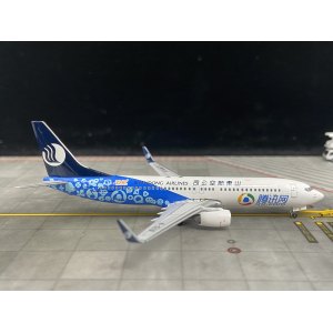 Shandong Airlines 山东航空 Boeing 737-800 B-5119 “腾讯网”彩绘. SKY-024 Skywings 1:400