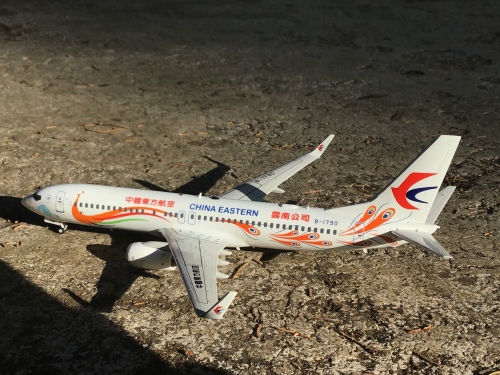 中国東方航空 B738 1/200 中国東方航空 B738 1/200 - メルカリ