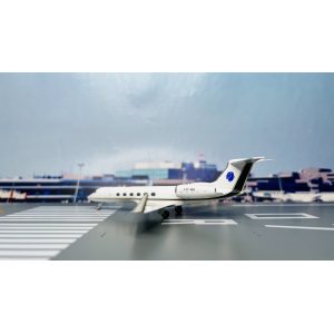 Private 私人飞机 Gulfstream G-V LV-IRQ  NG75018 NGmodels 1:200