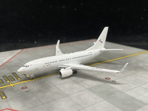Deer Jet 金鹿公务航空 Boeing 737-700 B-5266  PM-B5266 Pandamodel 1:400