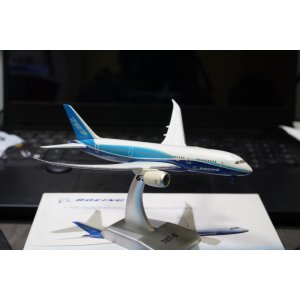 Boeing 波音公司 Boeing 787-8   HG40151 Hogan 1:400