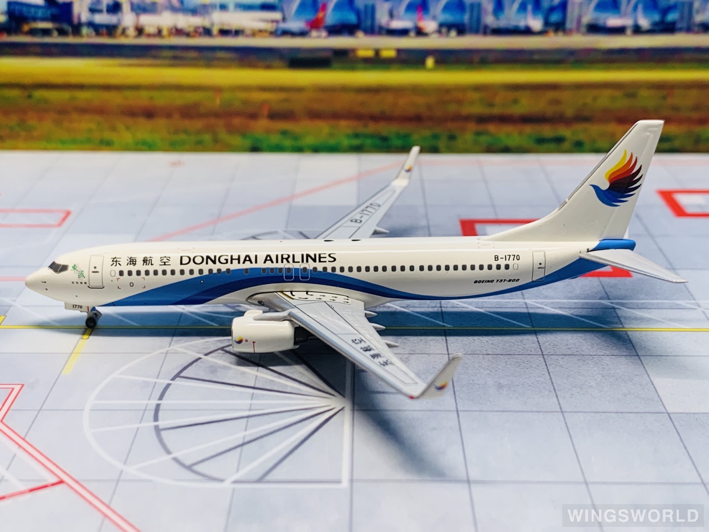 Pandamodel 1:400 PM-B1770 Donghai Airlines 东海航空 Boeing 737-800 B-1770