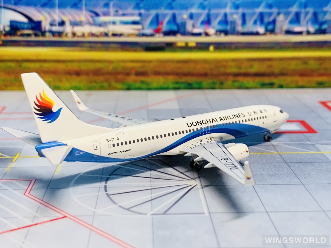 Pandamodel 1:400 PM-B1770 Donghai Airlines 东海航空 Boeing 737-800 B-1770