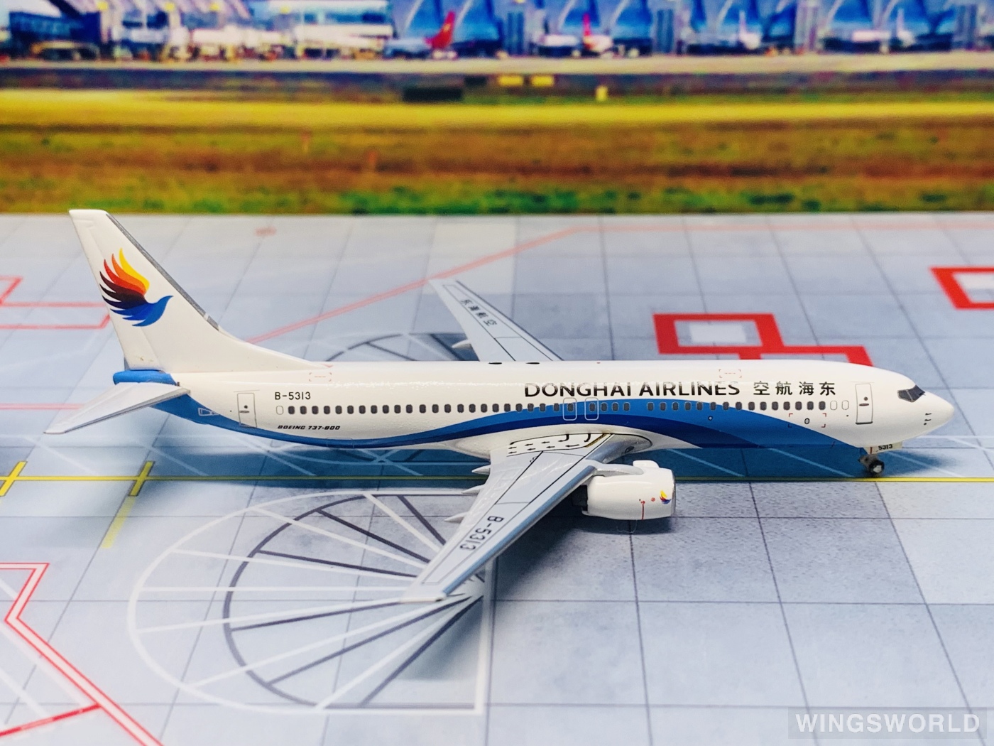 Pandamodel 1:400 PMB5313 Donghai Airlines 东海航空 Boeing 737-800 B-5313