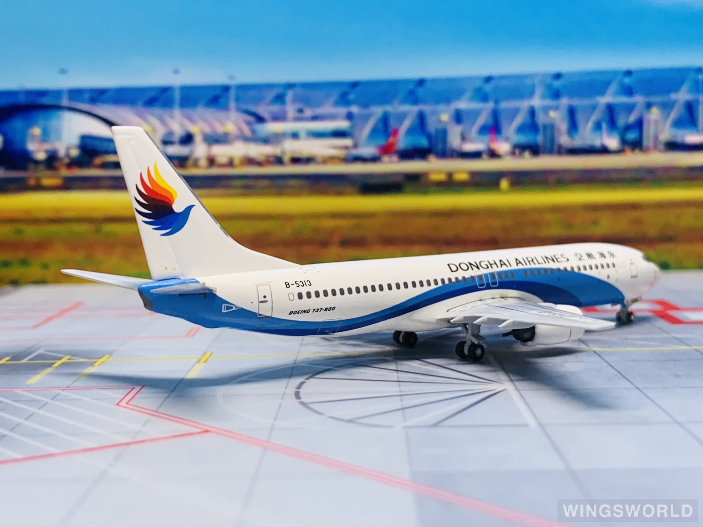 Pandamodel 1:400 PMB5313 Donghai Airlines 东海航空 Boeing 737-800 B-5313