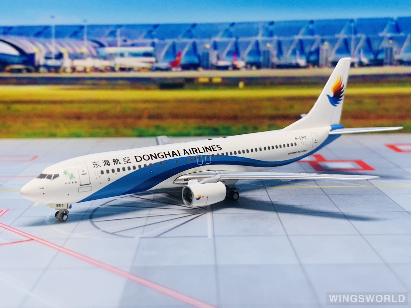 Pandamodel 1:400 PMB5313 Donghai Airlines 东海航空 Boeing 737-800 B-5313