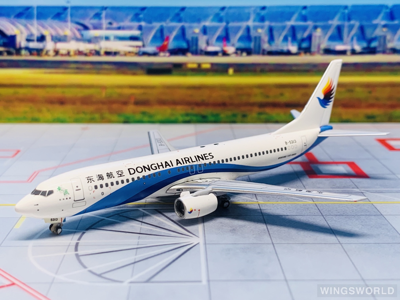 Pandamodel 1:400 PMB5313 Donghai Airlines 东海航空 Boeing 737-800 B-5313