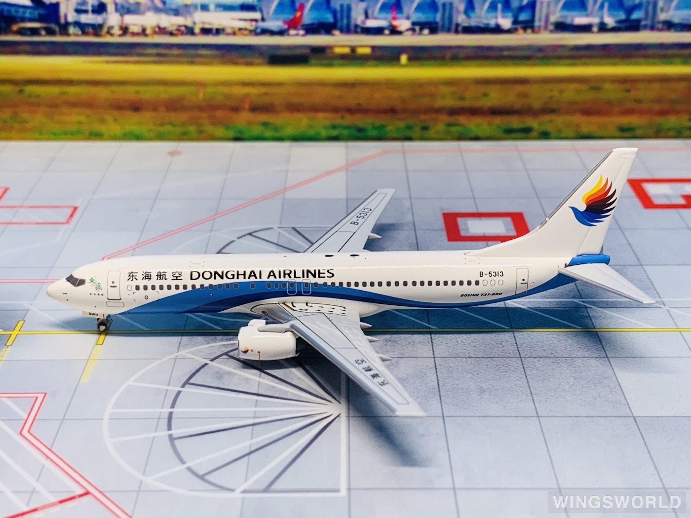 Pandamodel 1:400 PMB5313 Donghai Airlines 东海航空 Boeing 737-800 B-5313