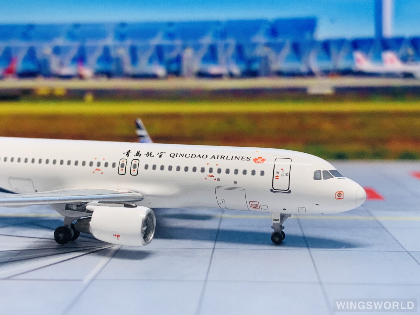 Pandamodel 1:400 PM-B-8282 Qingdao Airlines 青岛航空 Airbus A320 B-8282