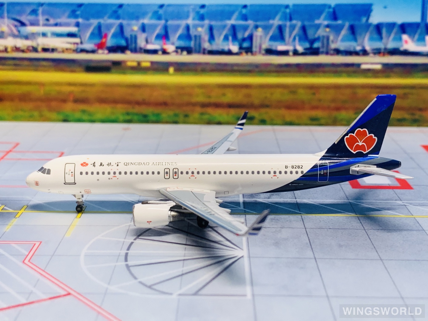 Pandamodel 1:400 PM-B-8282 Qingdao Airlines 青岛航空 Airbus A320 B-8282